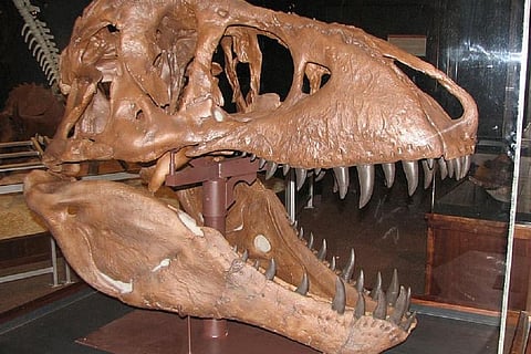 Photo Credit: Piqsels