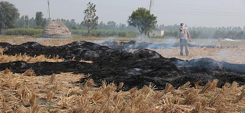 Over 260 Bihar farmers won’t get government benefits as they burnt stubble