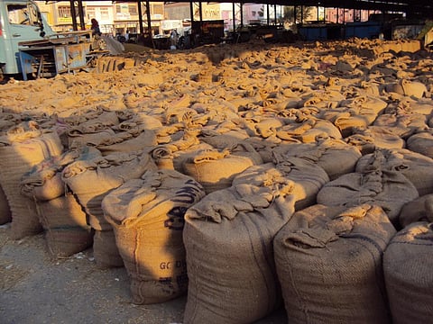 File Photo: Modh Shehfar