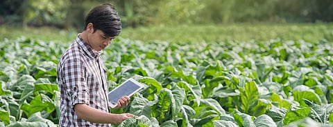 Three ways farms of the future can feed the planet and heal it too