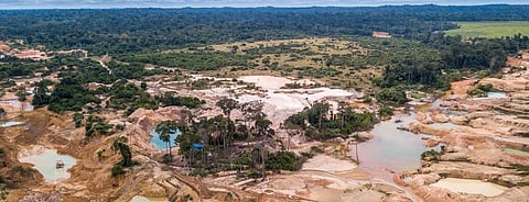 Statistic of the decade: The massive deforestation of the Amazon