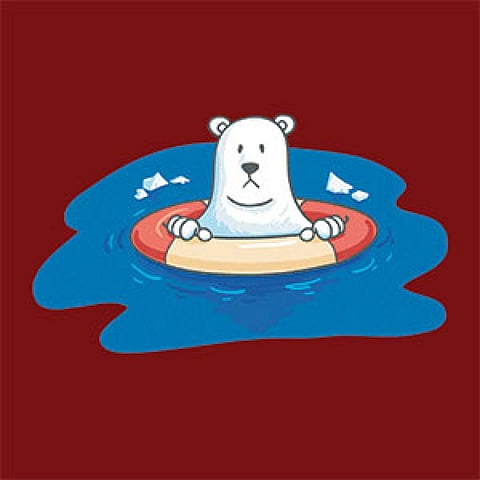 संजीत / सीएसई