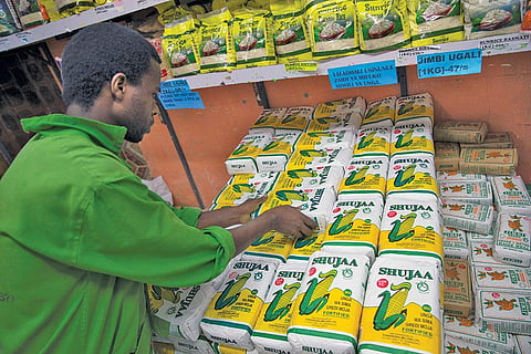 केन्या के नैरोबी में स्थित एक सुपरमार्केट में एक कर्मचारी मक्के के आटे के पैकेट को करीने से रखता हुआ (रॉयटर्स)