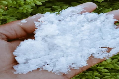 मध्यप्रदेश के देवास में खेत में बर्फ की पतली परत जम गई है। फोटो: मनीष चंद्र मिश्र