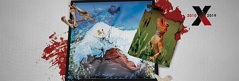 Look back at the decade: Extinction