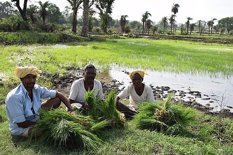 फोटो: मनीष चंद्र मिश्र