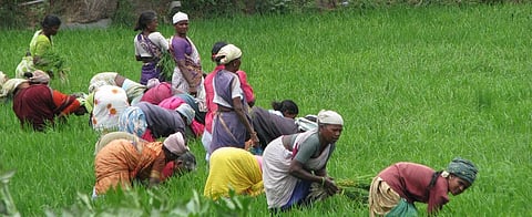 Rural development and gender equality: A reality check in Tamil Nadu