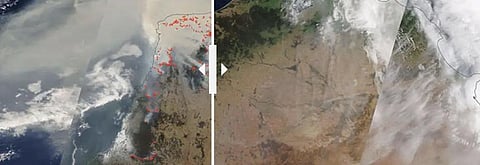 ‘This crisis has been unfolding for years’: 4 photos of Australia from space, before and after the bushfires