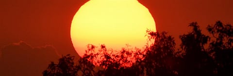 Forest fires: Have we reached a tipping point