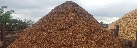 Europe’s biomass problem
