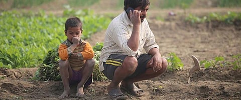 Farmers stare at another loss despite good rains. They need a boost from govt
