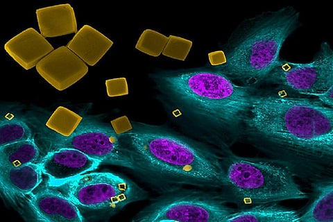 Photo credit: Flickr