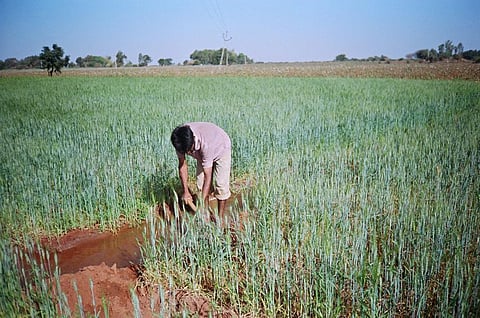 ‘Solid, liquid waste may have overtaken fertilisers as the biggest source of N2O emissions’
