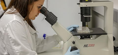 AMR, flu pandemic again top WHO’s list of health challenges for 2020