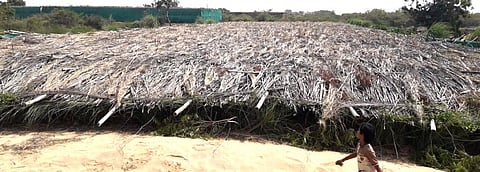 Extreme weather: 2019 broke records; don't expect 2020 to be better