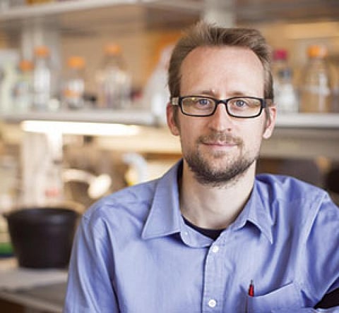 Antibiotic resistance: 'Some bacterial pathogens are resistant to all antibiotics'