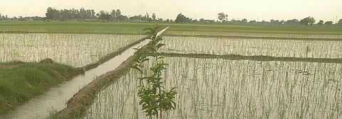 Irrigation does more than deplete groundwater, it changes climate too