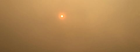 Top 5 global risks in next decade environmental: WEF report