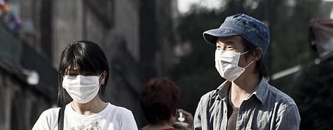 Bats likely source of novel coronavirus: China scientists