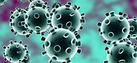 Coronavirus continues its march across Asia and the world