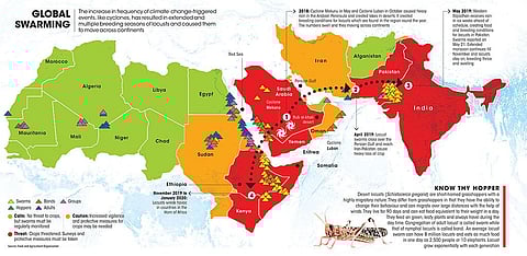 Source: Food and Agriculture Organization