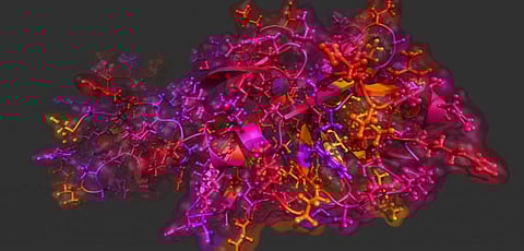 Second case of coronavirus confirmed in India