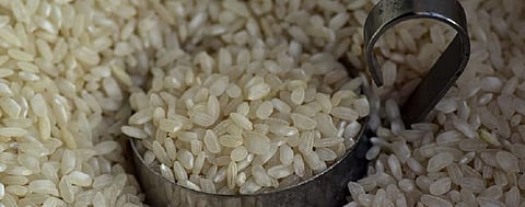 Small, marginal farmers hit hard by poor paddy procurement in Bihar