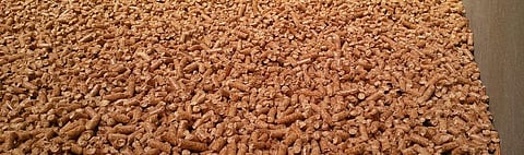 Coal-fired plants across Europe are being converted to burn wood pellets. Photo: Wikimedia Commons