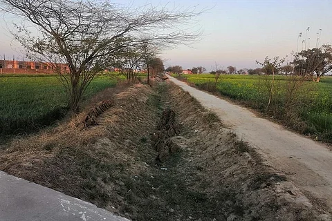 मेवात में सूखी पड़ी नहर। फोटो: शाहनवाज आलम
