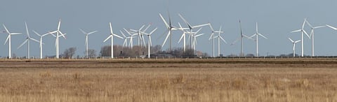 Renewable energy: Why is wind losing ground?