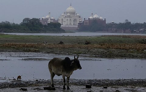 फाइल फोटो: विकास चौधरी