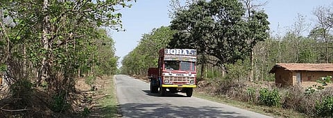 The ecological cost of highway to my village