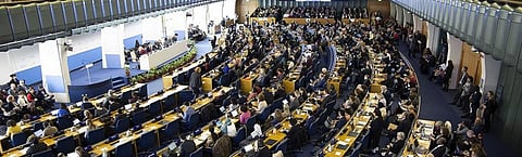 Survey results on voluntary meat regulation released