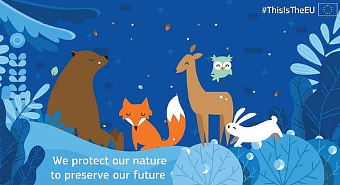 An illustration by the European Commission's Twitter handle while tweeting about the Global Coalition for Biodiversity