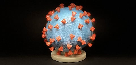 The great coronavirus drug hunt