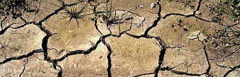 Flash droughts: Why early-warning, mitigation techniques are needed