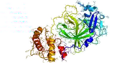 Coronavirus update: 300 million children miss classes