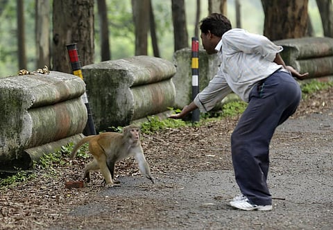 Photo: Vikas Choudhary