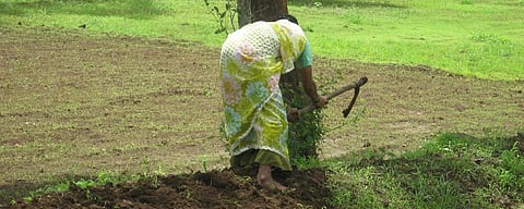 Water-stressed in India: How bunds helped farmers in Mahoba put drought behind