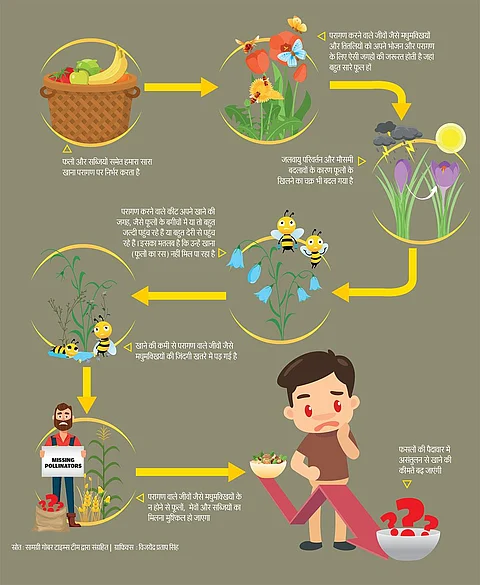 स्रोत: सामग्री गोबर टाइम्स टीम द्वारा संग्रहित | ग्राफिक्स : विजयेंद्र प्रताप सिंह