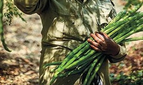 फोटो: विकास चौधरी