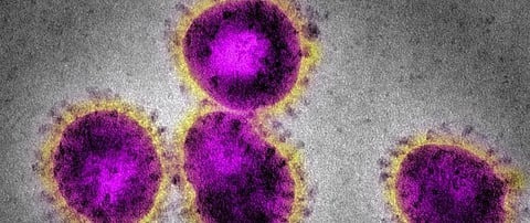 Coronavirus update: First death in India