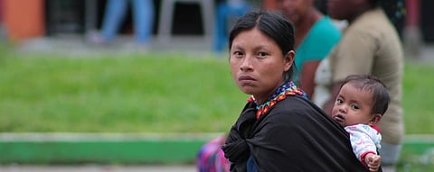 COVID-19 emerged due to forest destruction: indigenous leaders