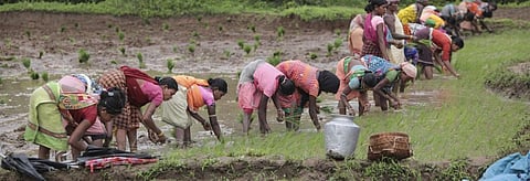 Will the State recognise women workers’ right to bleed with dignity