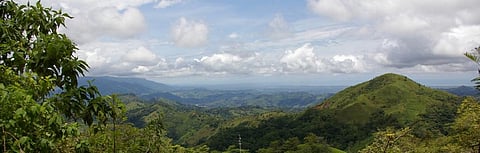 How will climate change affect carbon sequestered in tropical forests?