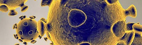 COVID-19: India may have 500 cases by March 22