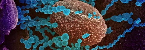 COVID-19: Has community transmission begun in India?