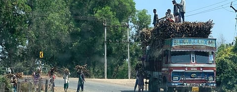 COVID19: Give-and-take ensures unhindered sugar operations in south Gujarat