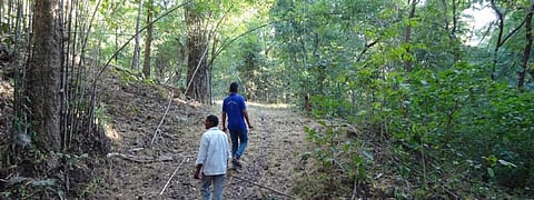 Community forest resources: Sustainable use, state norms must
