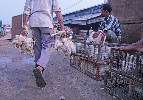 फोटो: विकास चौधरी